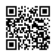 DesktopOK图标布局v11.44绿色版-趣奇资源网-第13张图片