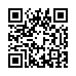 qBittorrent v5.1.1.10增强便携版-趣奇资源网-第13张图片