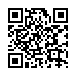 安卓Kiwi Browser v124.0.6327.2-趣奇资源网-第13张图片