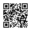 《烟花模拟器》v2025.4.2中文版-趣奇资源网-第18张图片